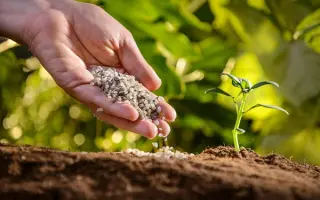 Суміш Комплксних Мінеральних добрив