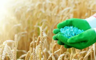 Рідкі органічні і органо-мінеральні добрива «Біоресурс»