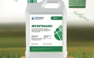 Панорамікс