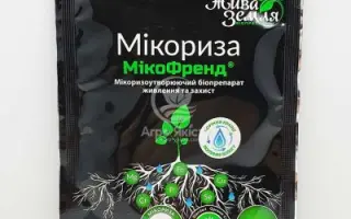 МИКОФРЕНД