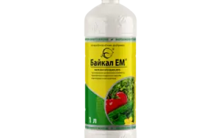 ЕМ-1 Ефективні Мікроорганізми