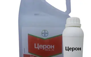 Кренел Соілфіт