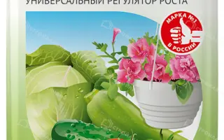 Филазонит Регенерующий