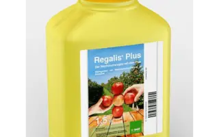 МайкроСорч Плюс