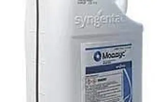 РЕВИТАЛ ПЛЮС