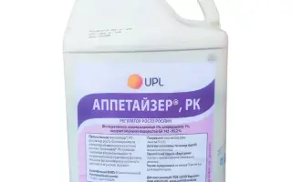 ДжампСтарт ВТ