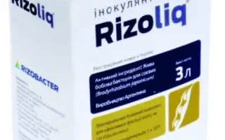 Ризолик Топ