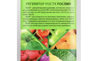 ОВАЛІС РІЗОФЕРТІЛ