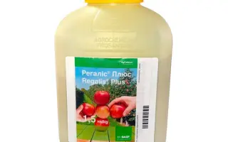 Фабіус Азум