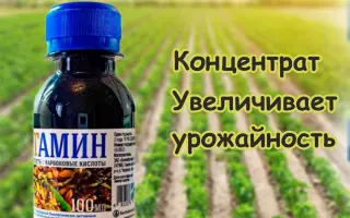 Диязобактерин