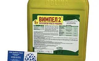 АБМ Инокулянт