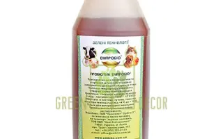 Ембико (Емпробио)