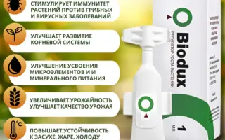 Биокомплекс «Сатек»