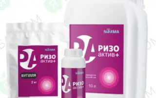 РИЗОАКТИВ