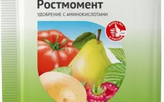 ДжампСтарт