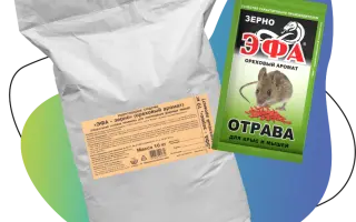 Роденфос, зерновая приманка