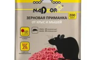 Роденфос, зерновая приманка