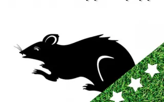 Бактороденцид БТ