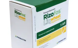 Різофос Лік