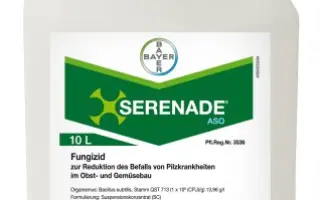 Серенада АСО SC