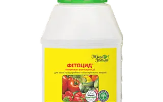 ФИТОЦИД