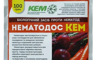 Нематодос КЕМ