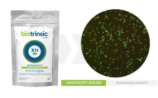 Біотрінсік Х11 ПС