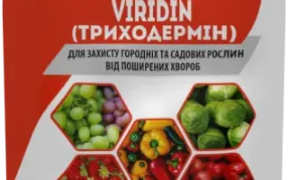 Вірін-Діпріон в.р.