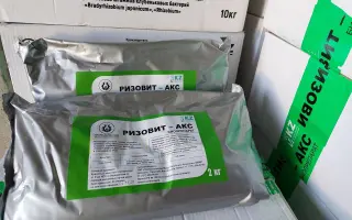 Сухой бактериальный инокулянт N-Charge