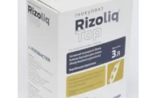 РІЗОЛІК