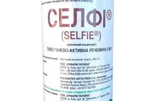 Філазоніт Соя