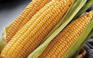 ZHY1797ID / ЖИ1797ІД