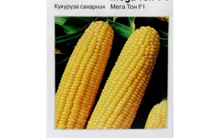 Megaza / Мегаза