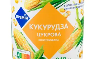 PRELUDE / ПРЕЛЮДІЯ