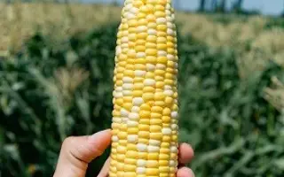 Excalibur F1 / Ескалібур F1