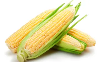 Ясновельможний