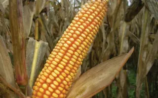 Agralp - 260 / Агральп - 260