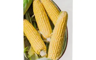 AGRO SANA / АГРО САНА