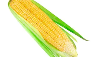 Almaty / Алматі