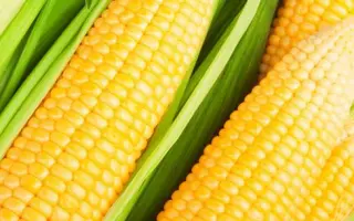 Amando / Амандо