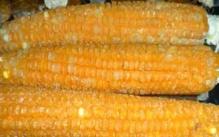 ANSERA / АНСЕРА