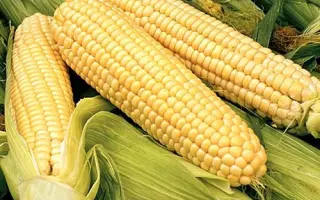 ARMILLA / АРМІЛЛА