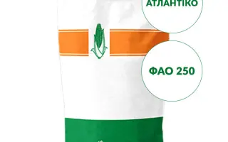 Atlantico / Атлантіко