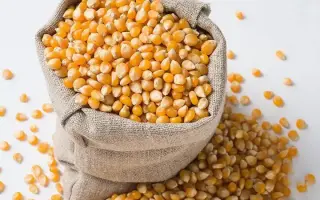 Bullinga / Буллінга