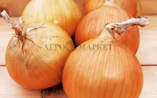 VERDON / ВЕРДОН