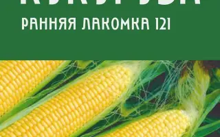 VIKING / Вікінг