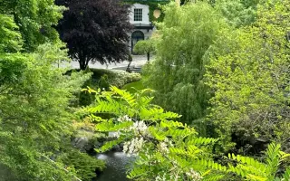 HASTINGS / Гастінгс