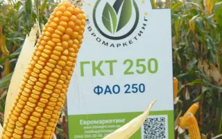 GKT 250 / ГКТ 250