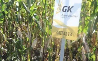 GKT3213 / ГКТ3213