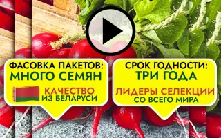 GLORIETT / ГЛОРІЄТТ